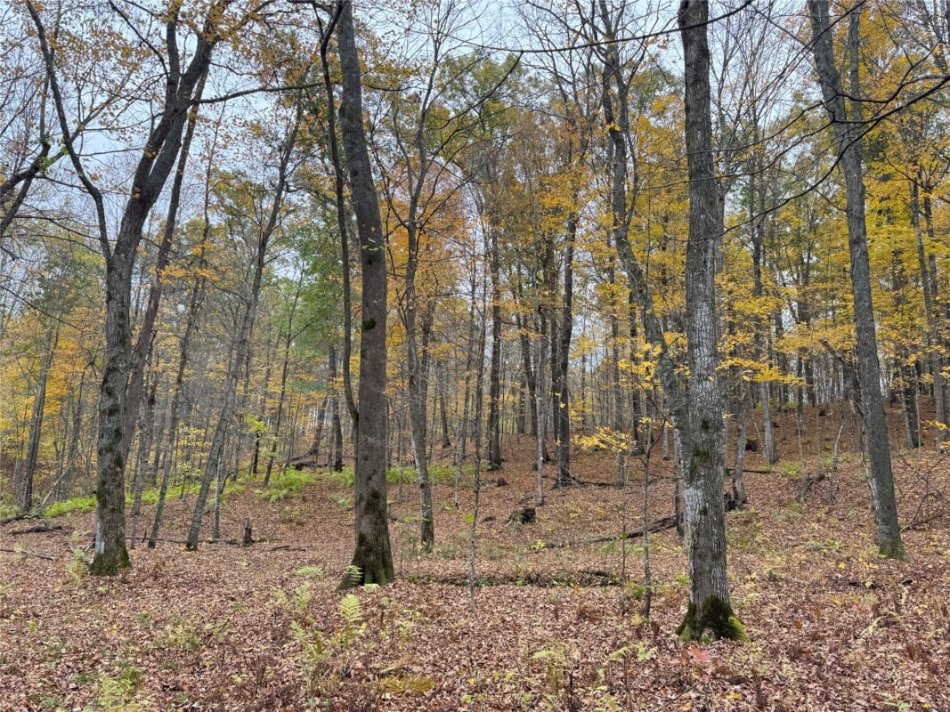 00 240th Street, Luck WI 54853 - Land house for sale - MLS #1603809 - image39