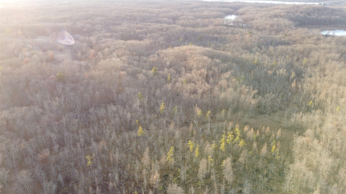 00 240th Street, Luck WI 54853 - Land house for sale - MLS #1603809 - image5