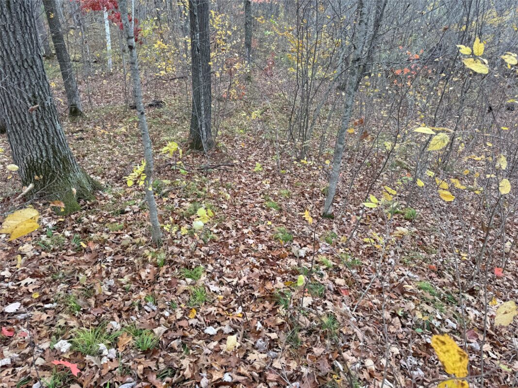 00 240th Street, Luck WI 54853 - Land house for sale - MLS #1603809 - image42
