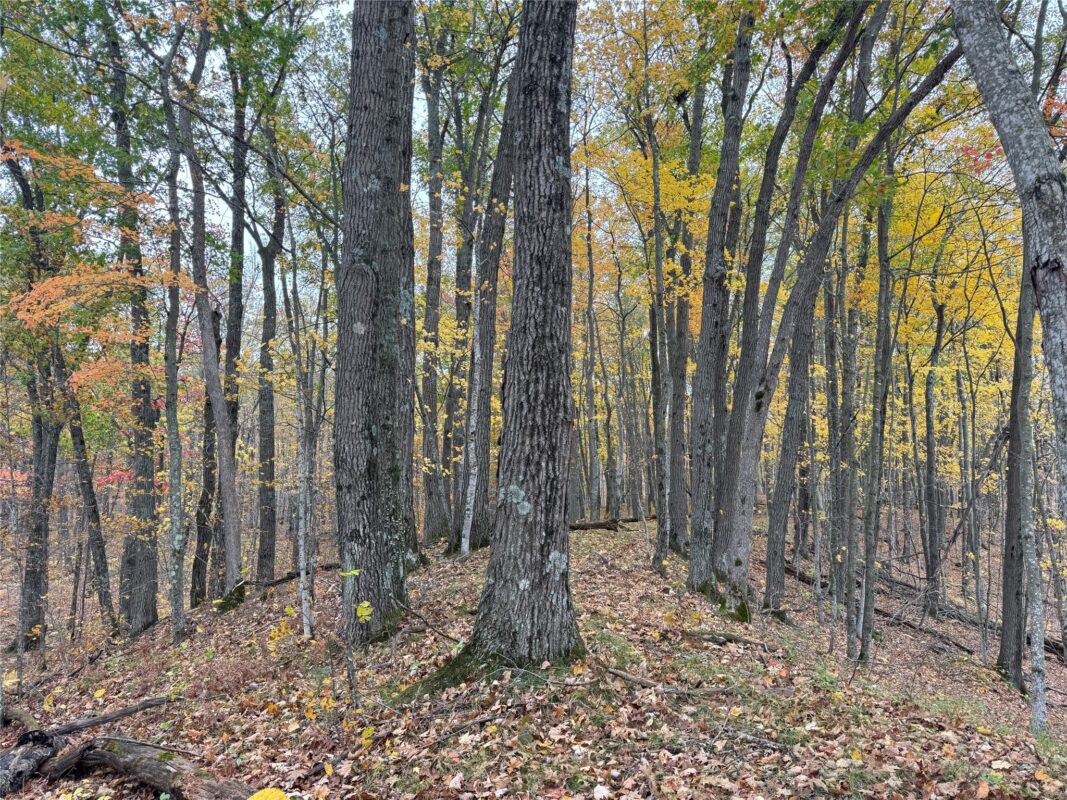 00 240th Street, Luck WI 54853 - Land house for sale - MLS #1603809 - image46