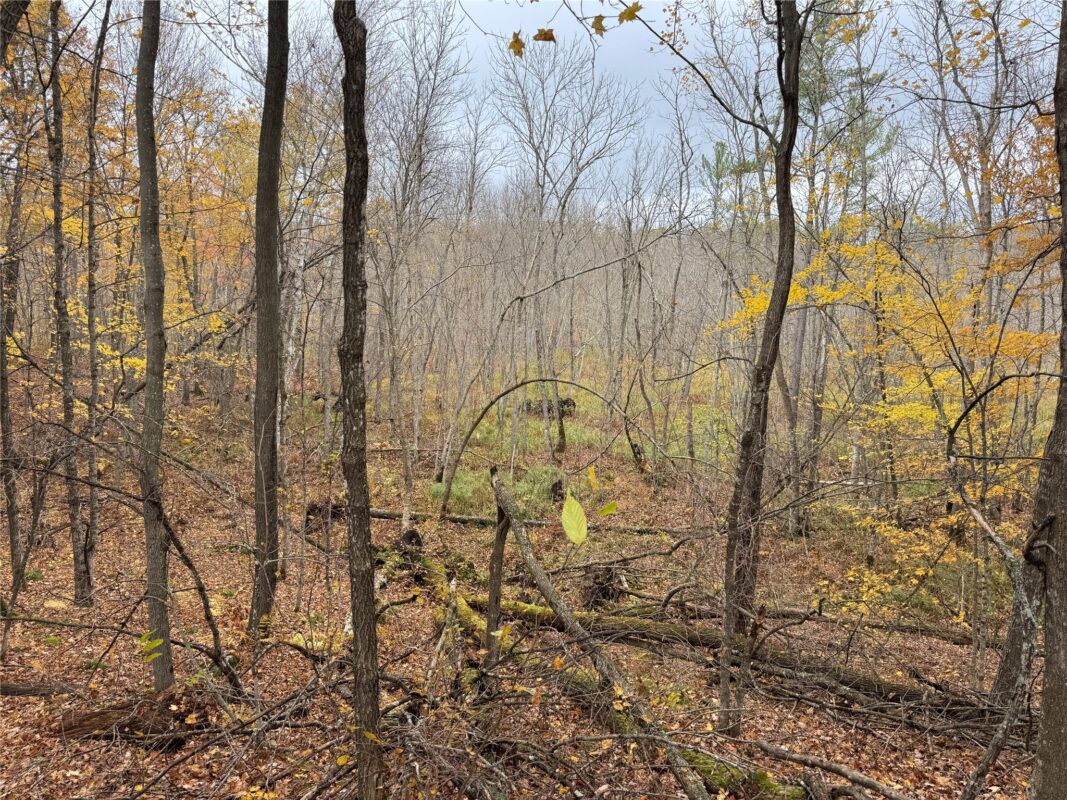 00 240th Street, Luck WI 54853 - Land house for sale - MLS #1603809 - image47