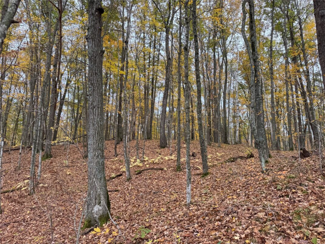 00 240th Street, Luck WI 54853 - Land house for sale - MLS #1603809 - image51