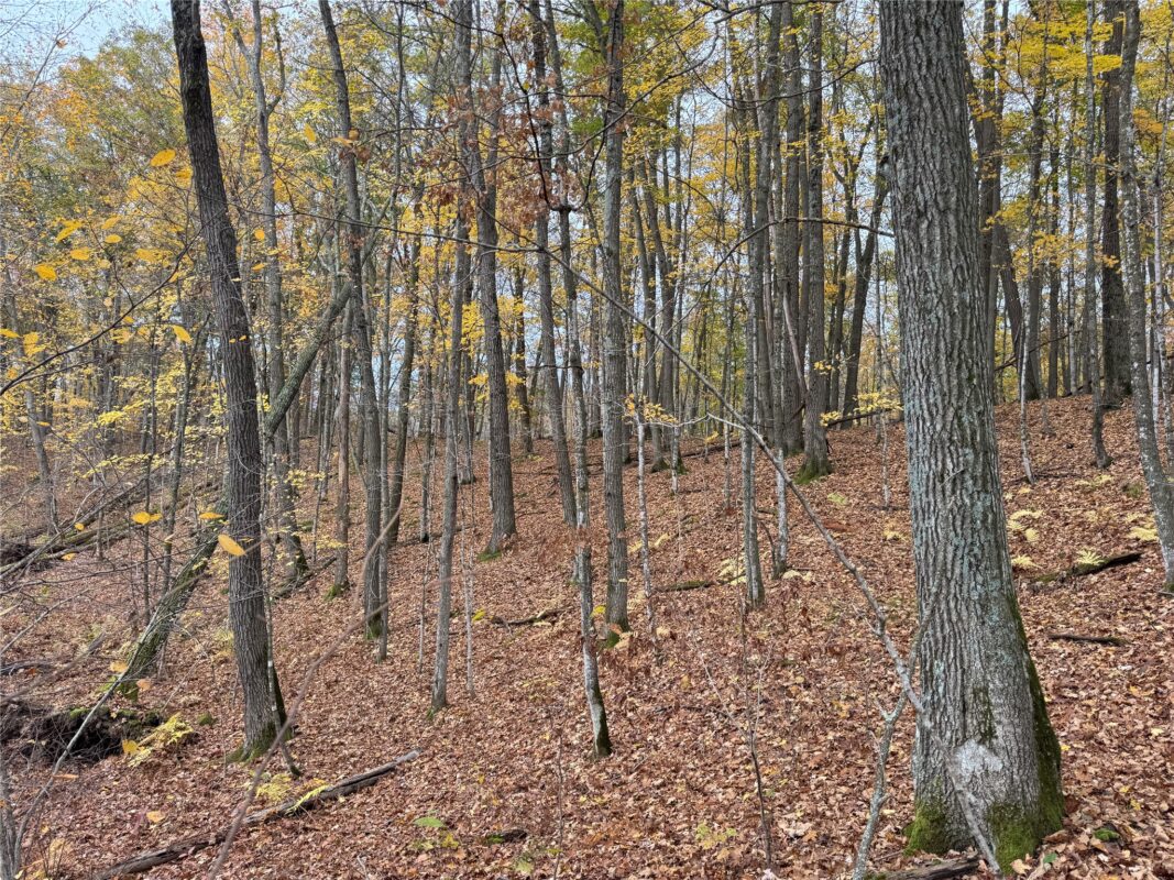 00 240th Street, Luck WI 54853 - Land house for sale - MLS #1603809 - image52
