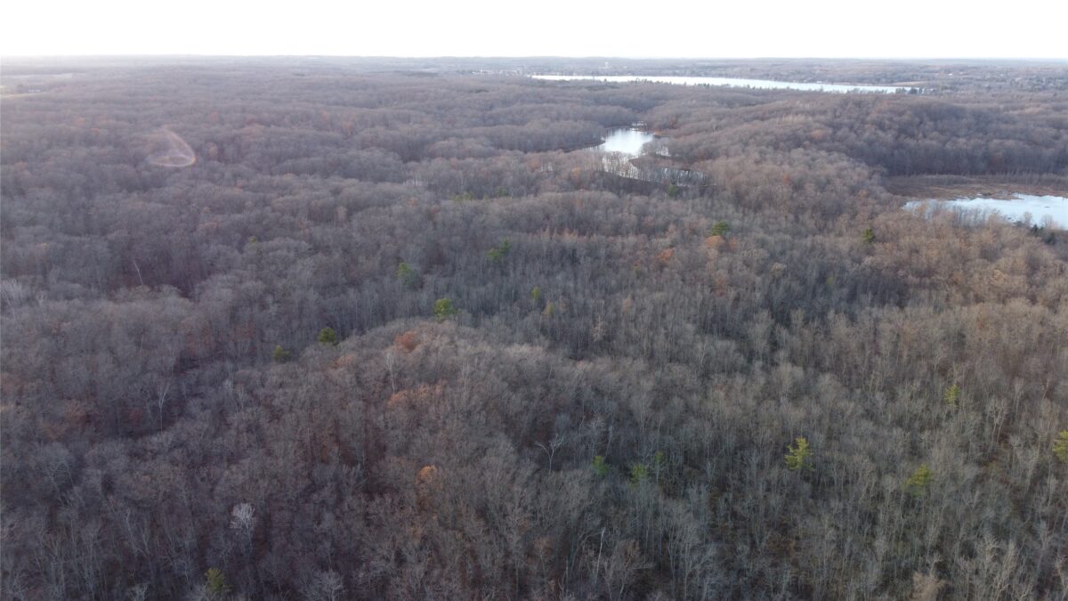 00 240th Street, Luck WI 54853 - Land house for sale - MLS #1603809 - image7