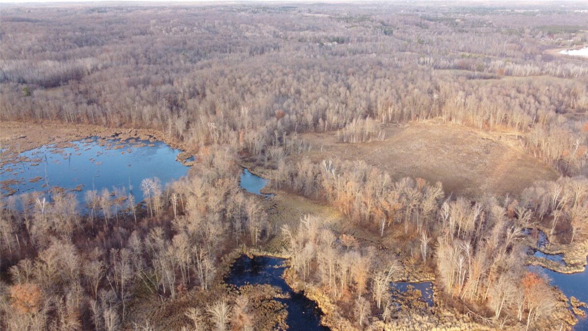 00 240th Street, Luck WI 54853 - Land house for sale - MLS #1603809 - image8