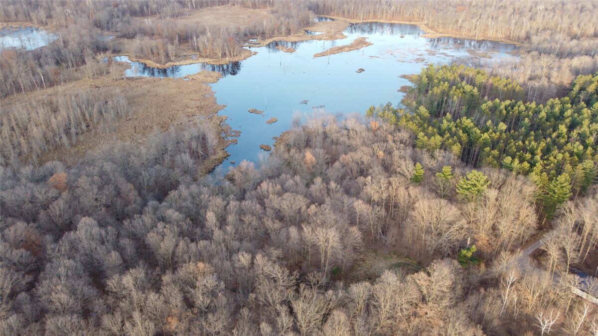 00 240th Street, Luck WI 54853 - Land house for sale - MLS #1603809 - image9