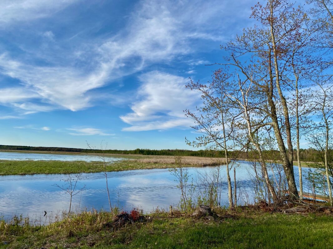 00 County Road Y, Gordon WI 54838 - Land house for sale - MLS #1599419 - image2