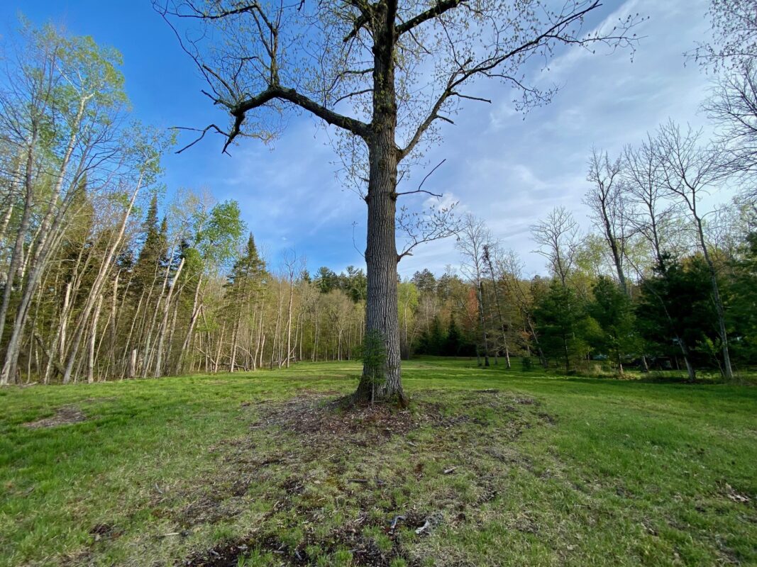 00 County Road Y, Gordon WI 54838 - Land house for sale - MLS #1599419 - image16