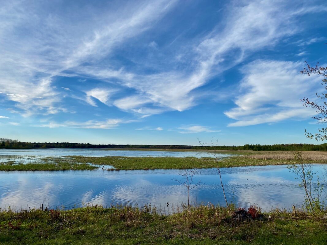 00 County Road Y, Gordon WI 54838 - Land house for sale - MLS #1599419 - image17
