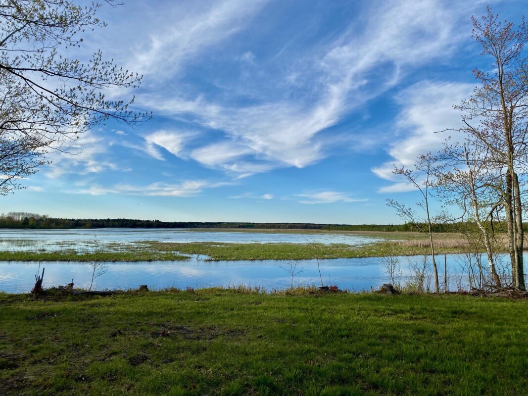 00 County Road Y, Gordon WI 54838 - Land house for sale - MLS #1599419 - image18