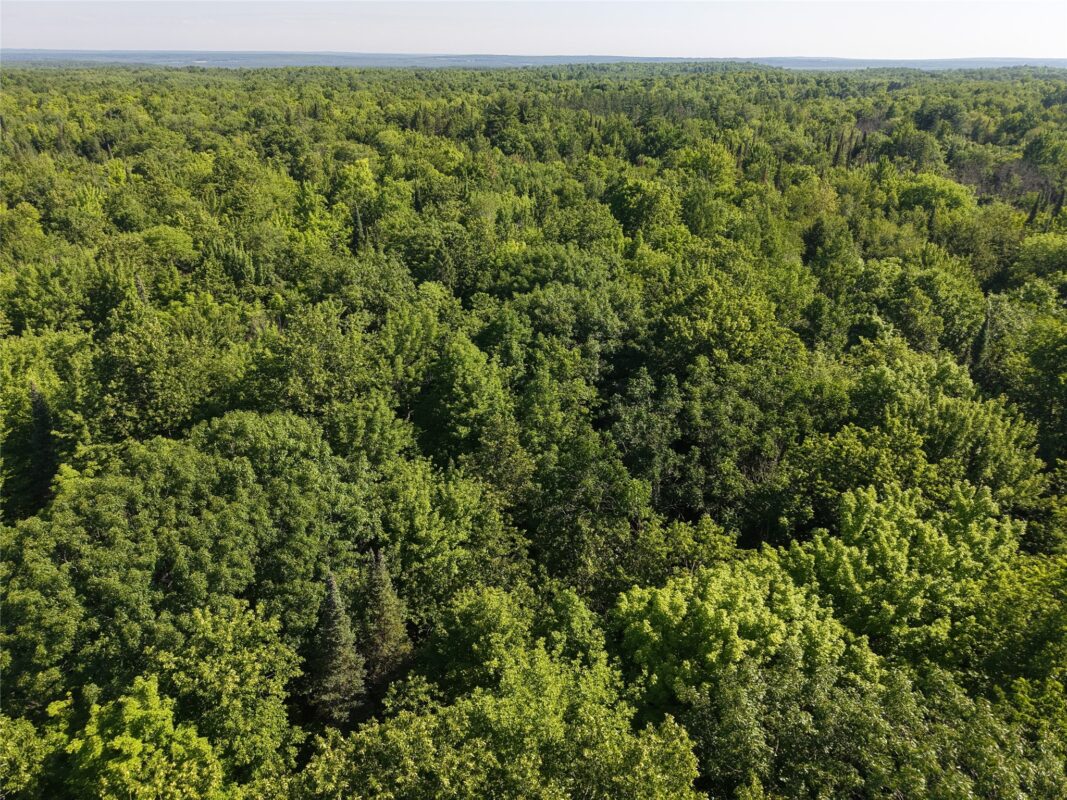 00 US Highway 63, grand view WI 54839 - Land house for sale - MLS #1601008 - image12