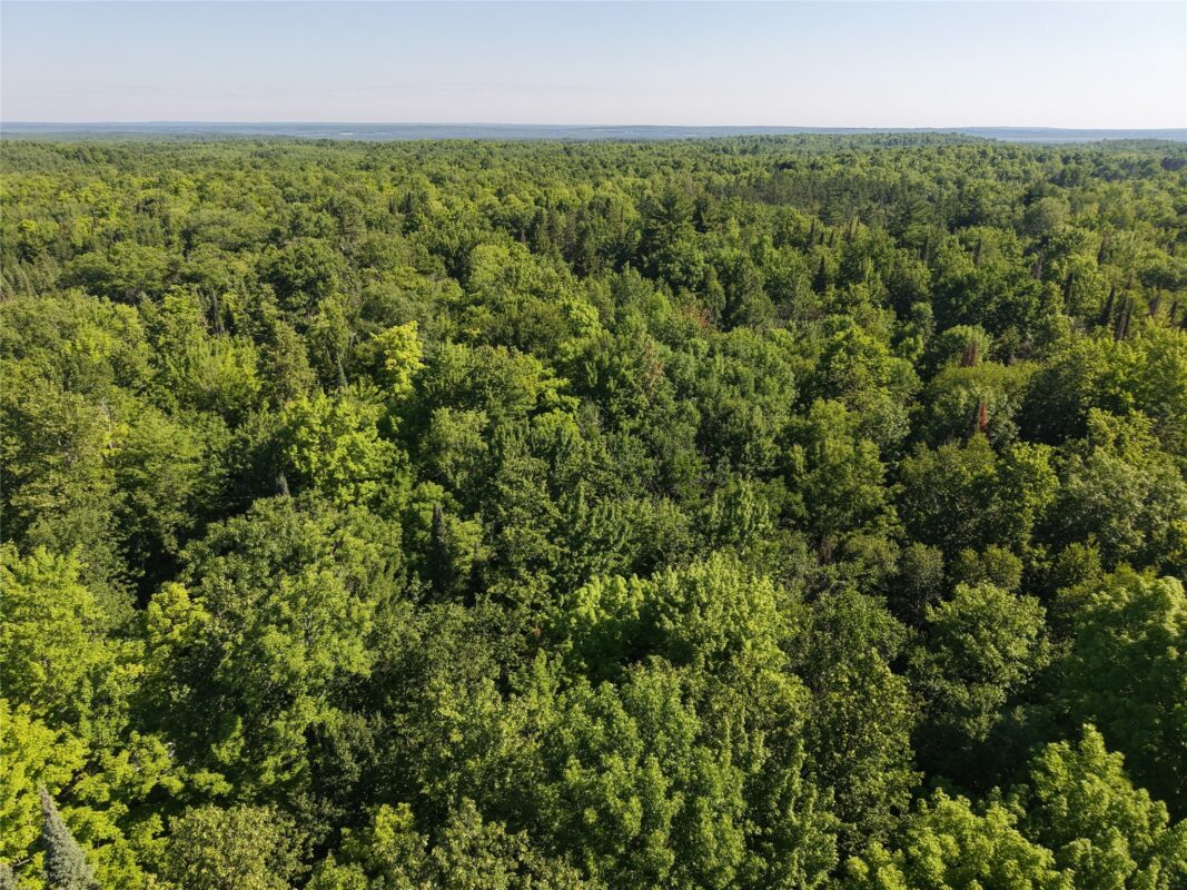 00 US Highway 63, grand view WI 54839 - Land house for sale - MLS #1601008 - image13