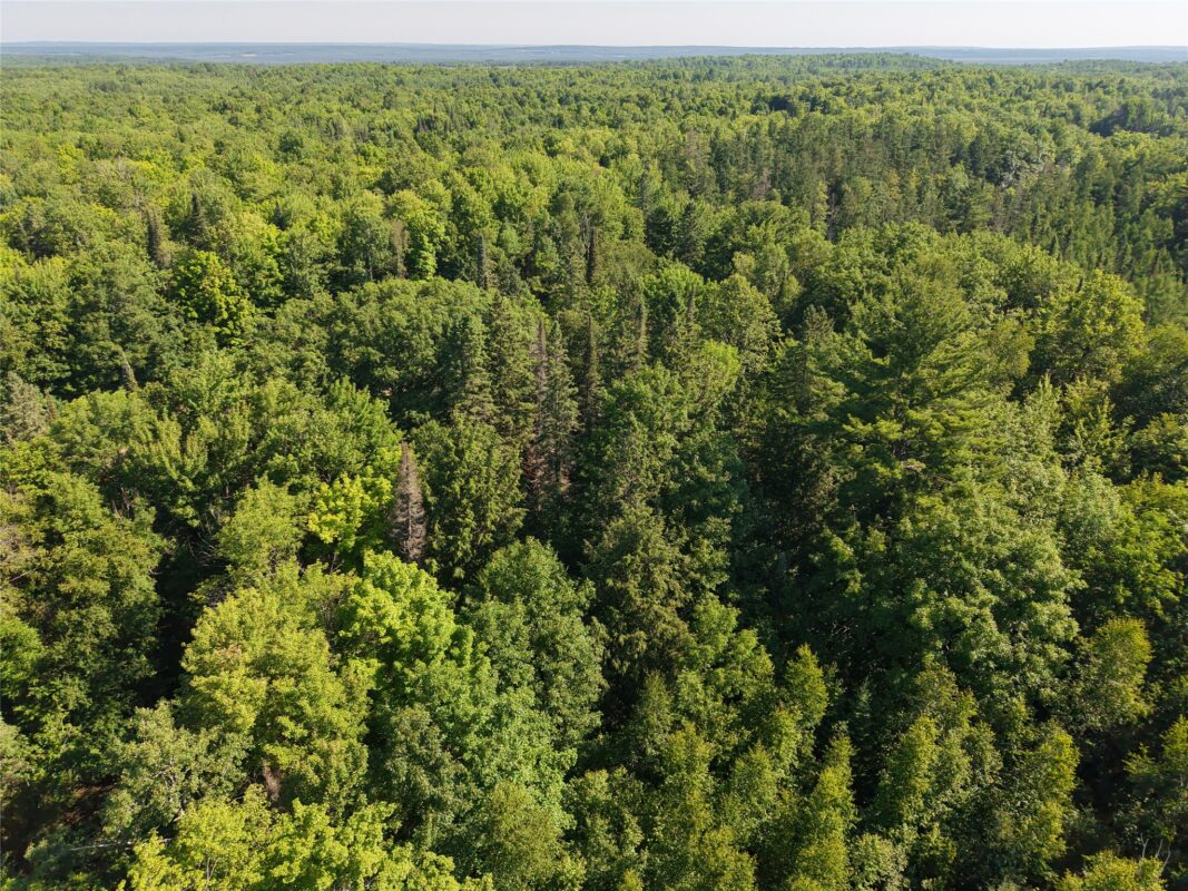 00 US Highway 63, grand view WI 54839 - Land house for sale - MLS #1601008 - image15