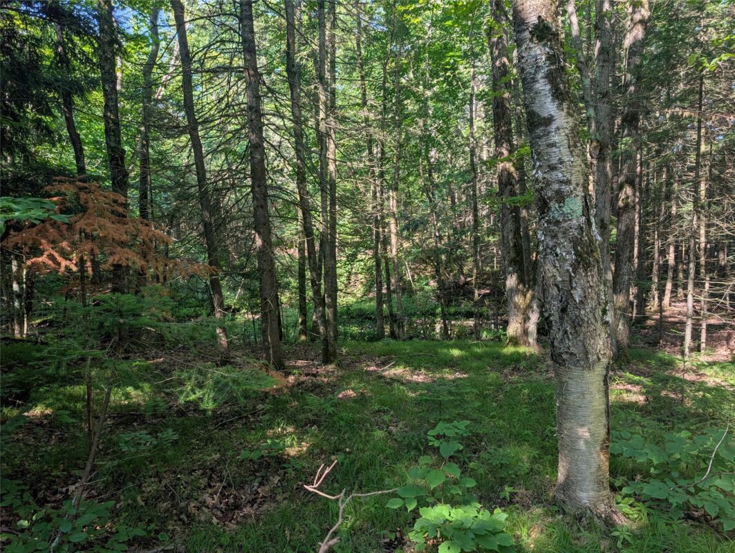 00 US Highway 63, grand view WI 54839 - Land house for sale - MLS #1601008 - image20
