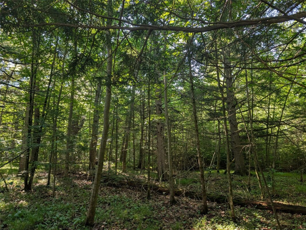00 US Highway 63, grand view WI 54839 - Land house for sale - MLS #1601008 - image21