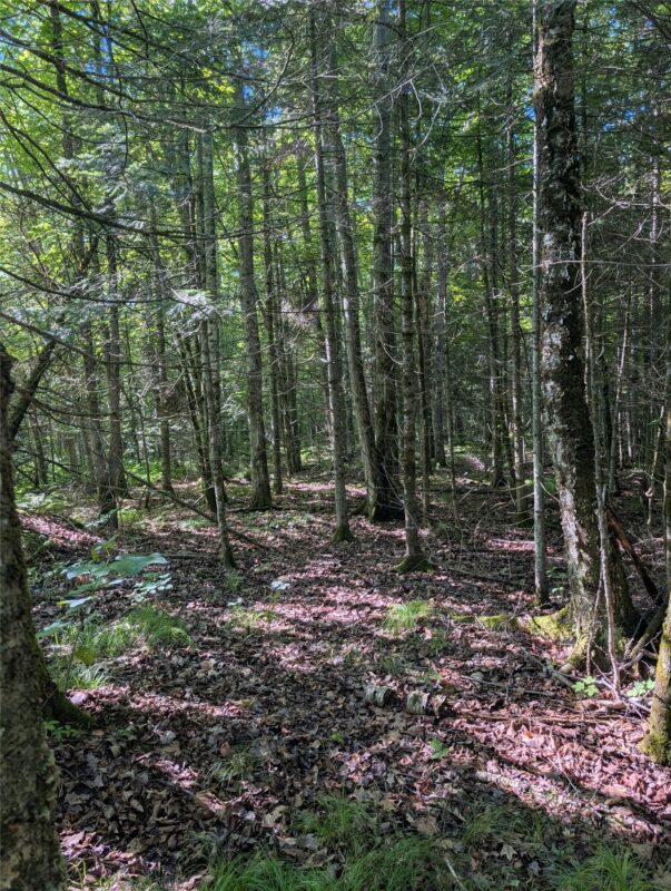 00 US Highway 63, grand view WI 54839 - Land house for sale - MLS #1601008 - image23