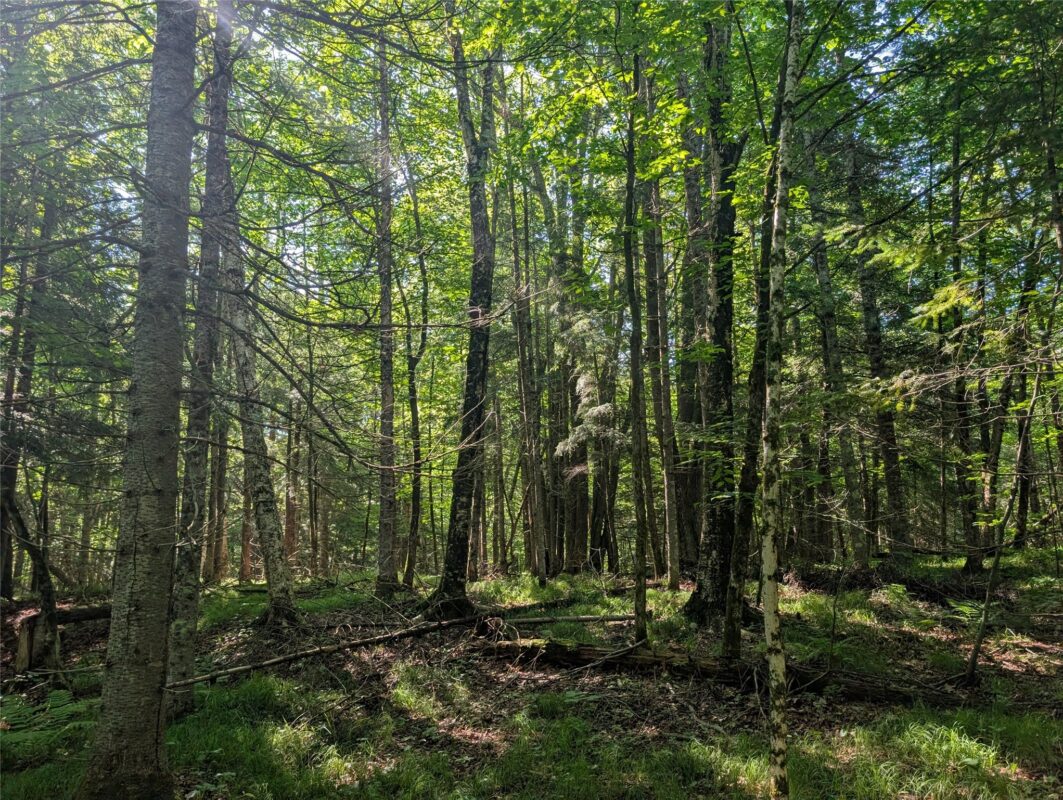 00 US Highway 63, grand view WI 54839 - Land house for sale - MLS #1601008 - image26