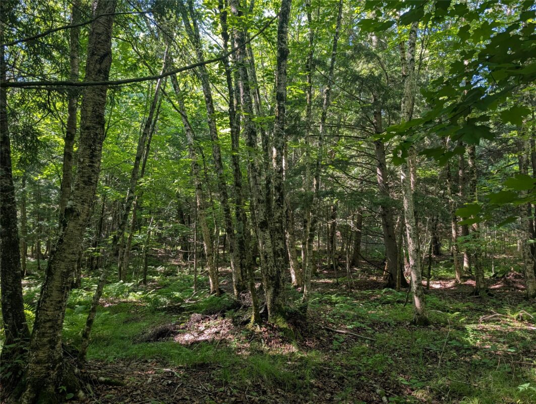 00 US Highway 63, grand view WI 54839 - Land house for sale - MLS #1601008 - image28