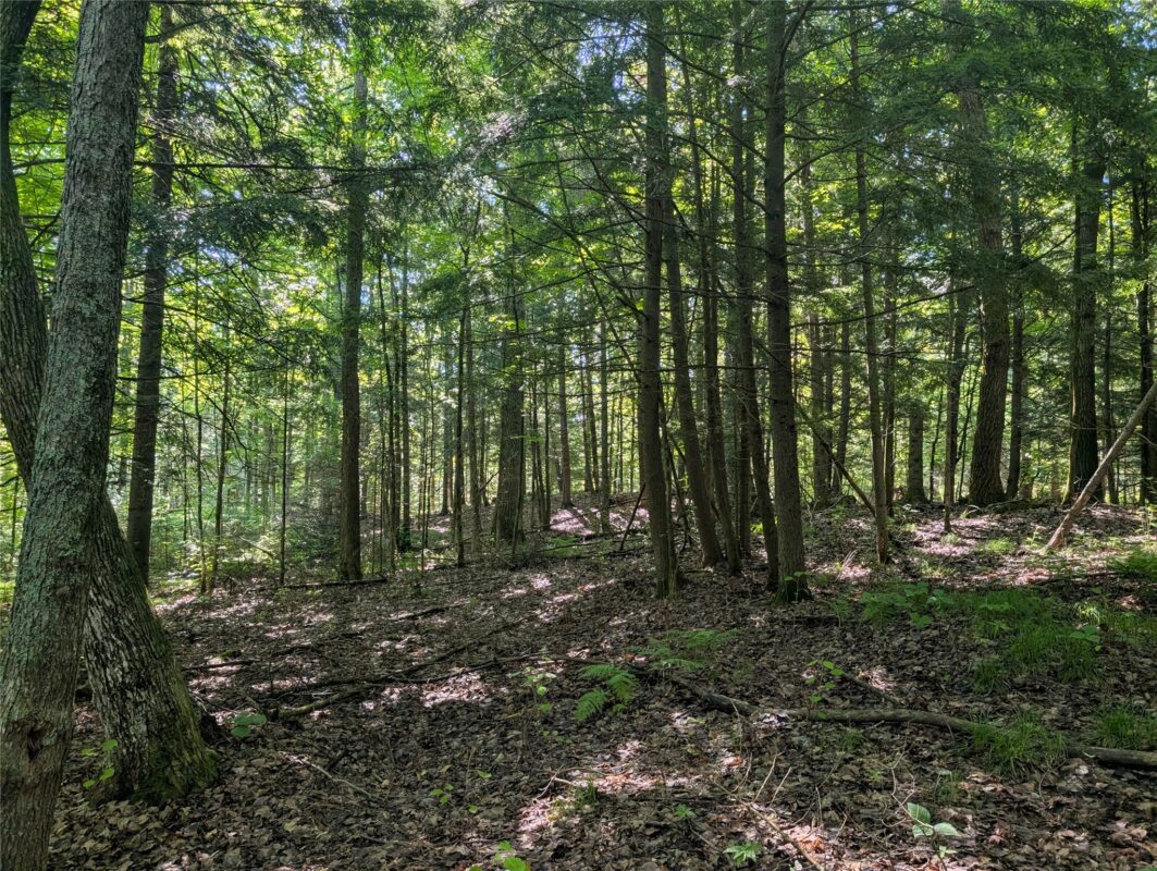 00 US Highway 63, grand view WI 54839 - Land house for sale - MLS #1601008 - image30