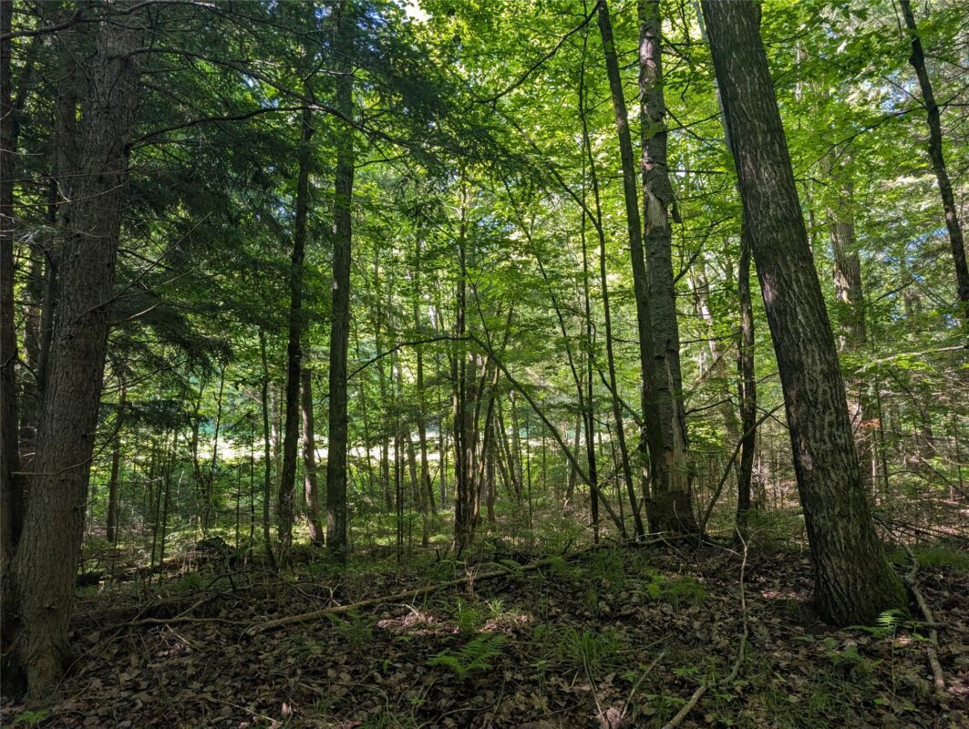 00 US Highway 63, grand view WI 54839 - Land house for sale - MLS #1601008 - image31