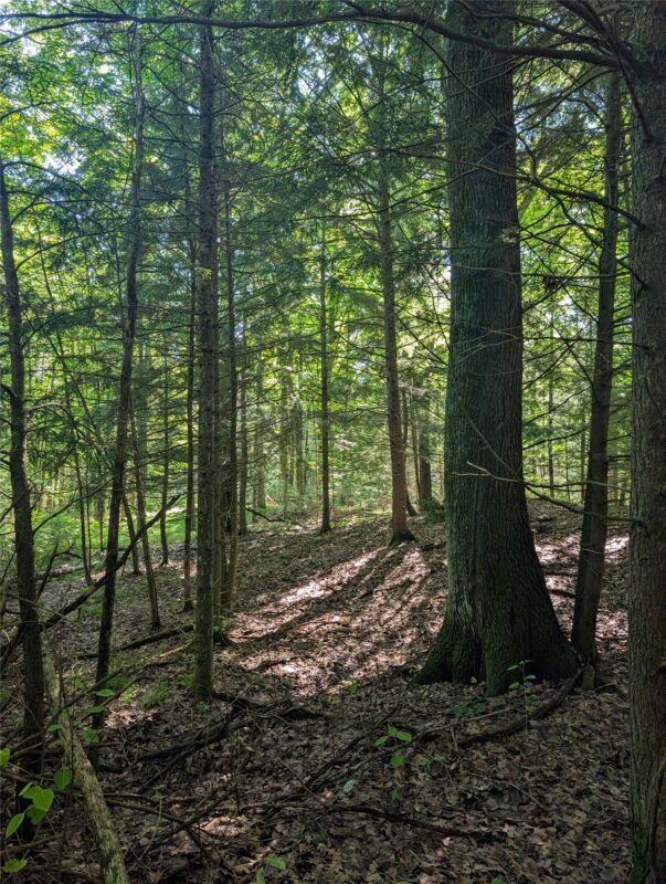 00 US Highway 63, grand view WI 54839 - Land house for sale - MLS #1601008 - image33