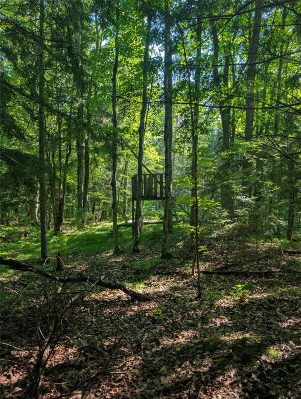 00 US Highway 63, grand view WI 54839 - Land house for sale - MLS #1601008 - image34