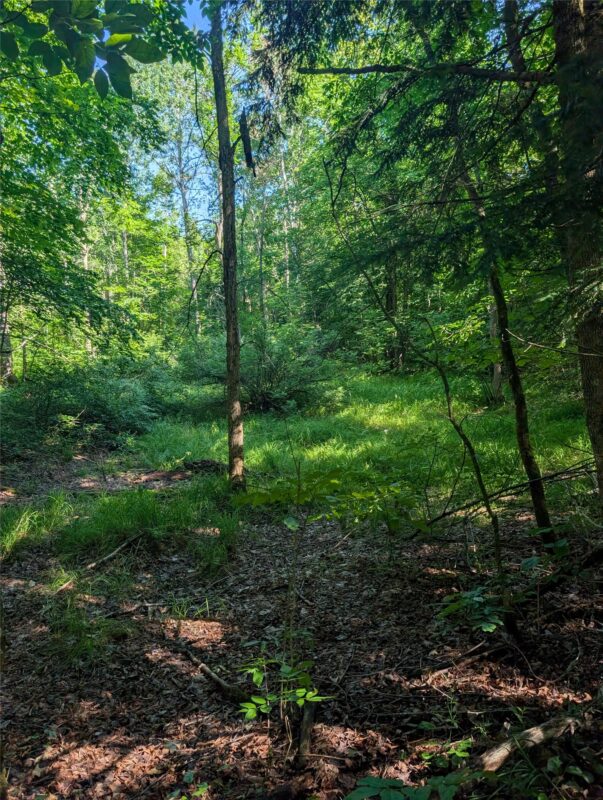 00 US Highway 63, grand view WI 54839 - Land house for sale - MLS #1601008 - image39