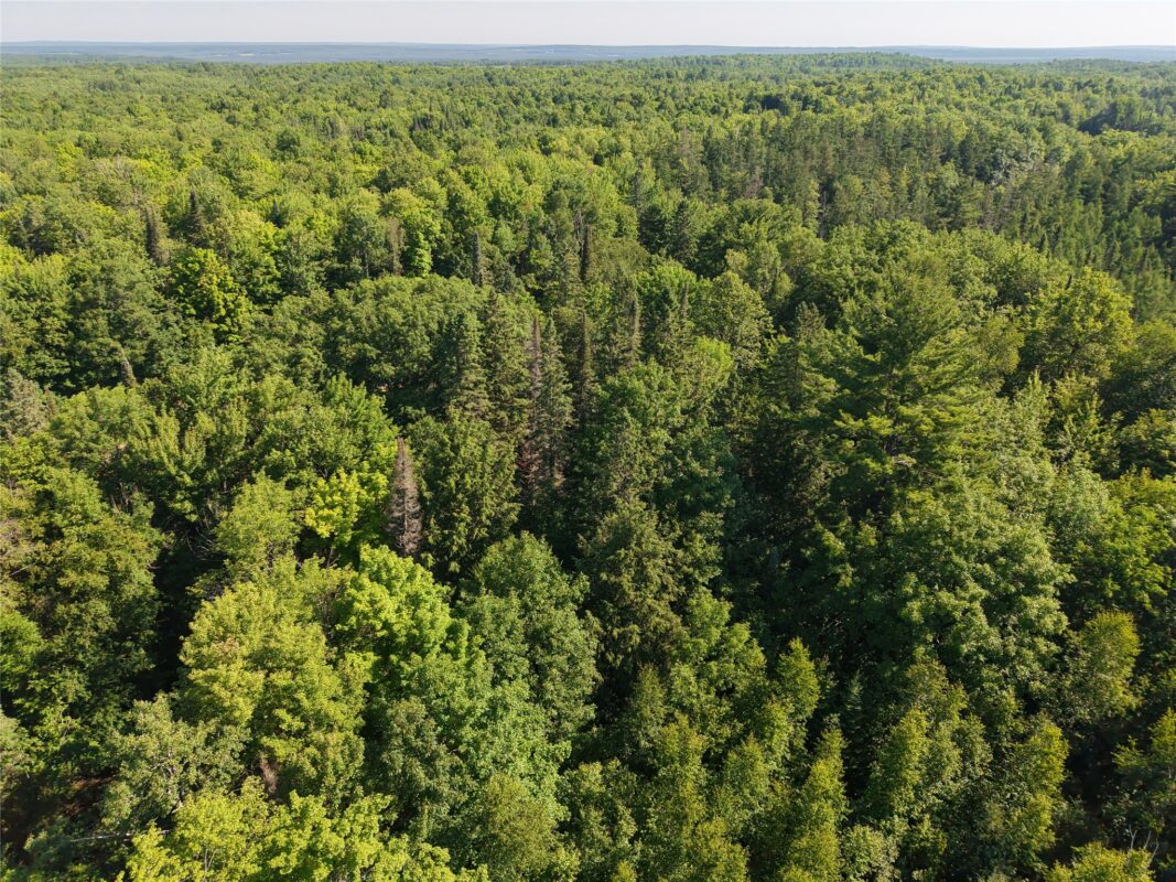 00 US Highway 63, grand view WI 54839 - Land house for sale - MLS #1601008 - image6