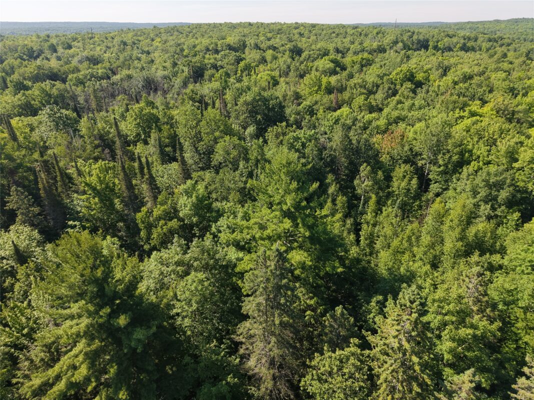 00 US Highway 63, grand view WI 54839 - Land house for sale - MLS #1601008 - image9