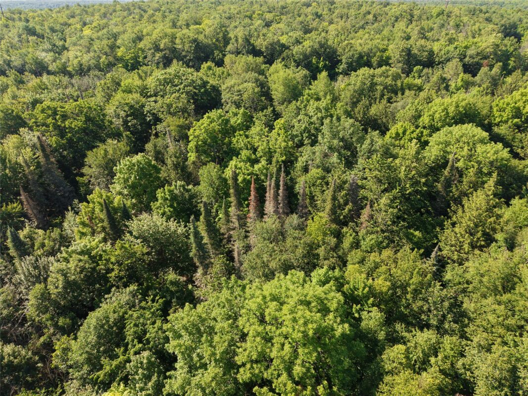 00 US Highway 63, grand view WI 54839 - Land house for sale - MLS #1601008 - image10
