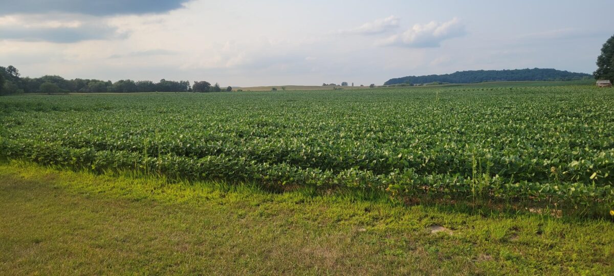 000 Casper Road, Alma Center WI 54611 - Land house for sale - MLS #1604151 - image11