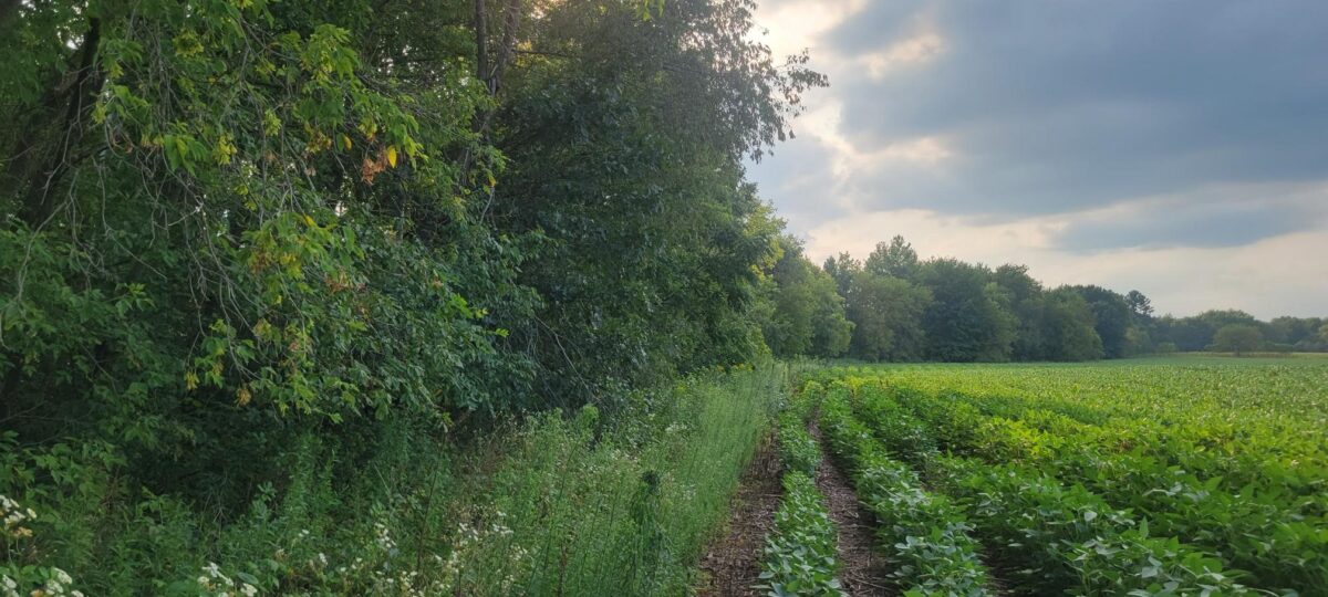 000 Casper Road, Alma Center WI 54611 - Land house for sale - MLS #1604151 - image13