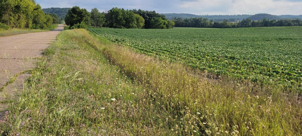 000 Casper Road, Alma Center WI 54611 - Land house for sale - MLS #1604151 - image3