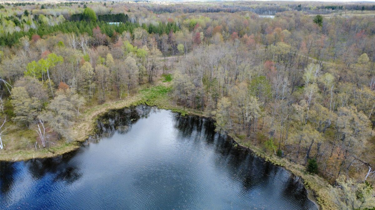 000 Ramer Road, Bruce WI 54819 - Land house for sale - MLS #1601306 - image13