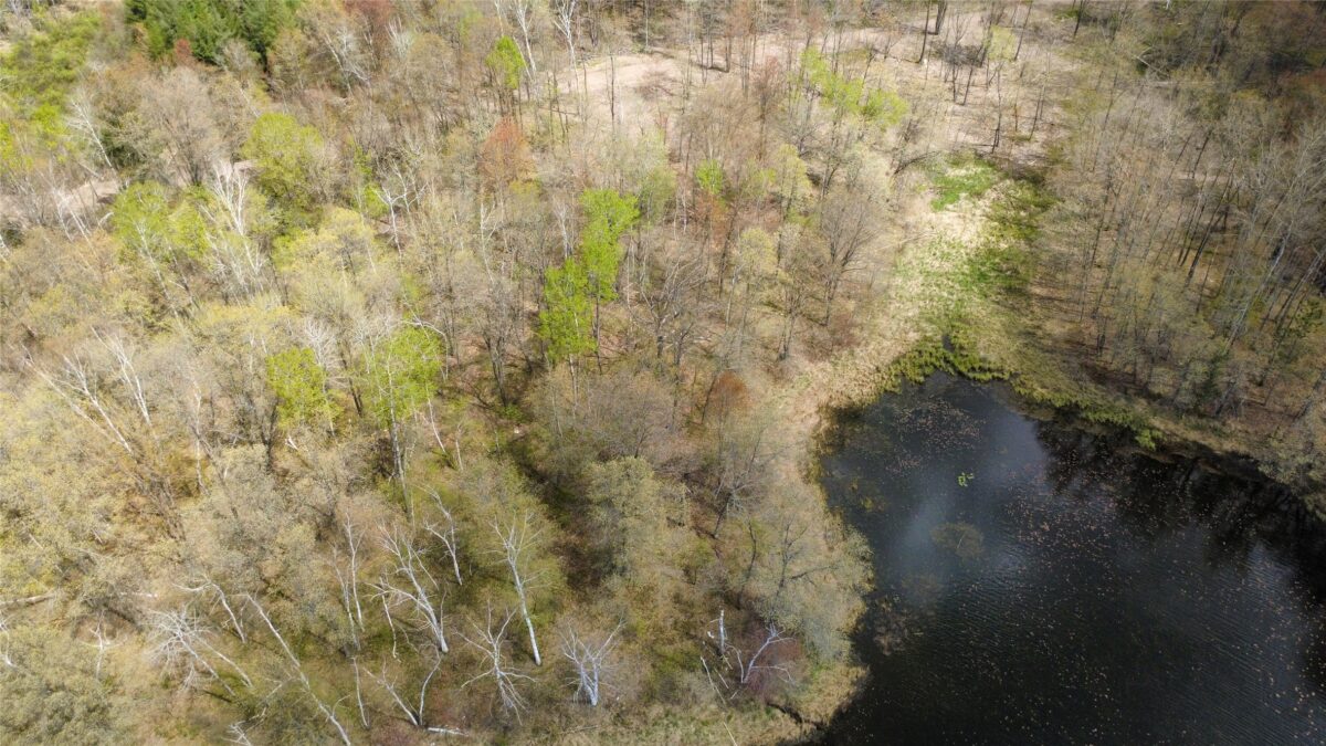 000 Ramer Road, Bruce WI 54819 - Land house for sale - MLS #1601306 - image3