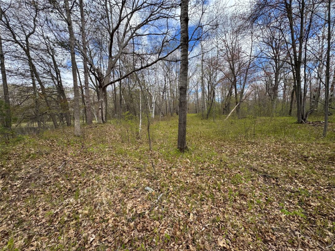000 Ramer Road, Bruce WI 54819 - Land house for sale - MLS #1601306 - image23