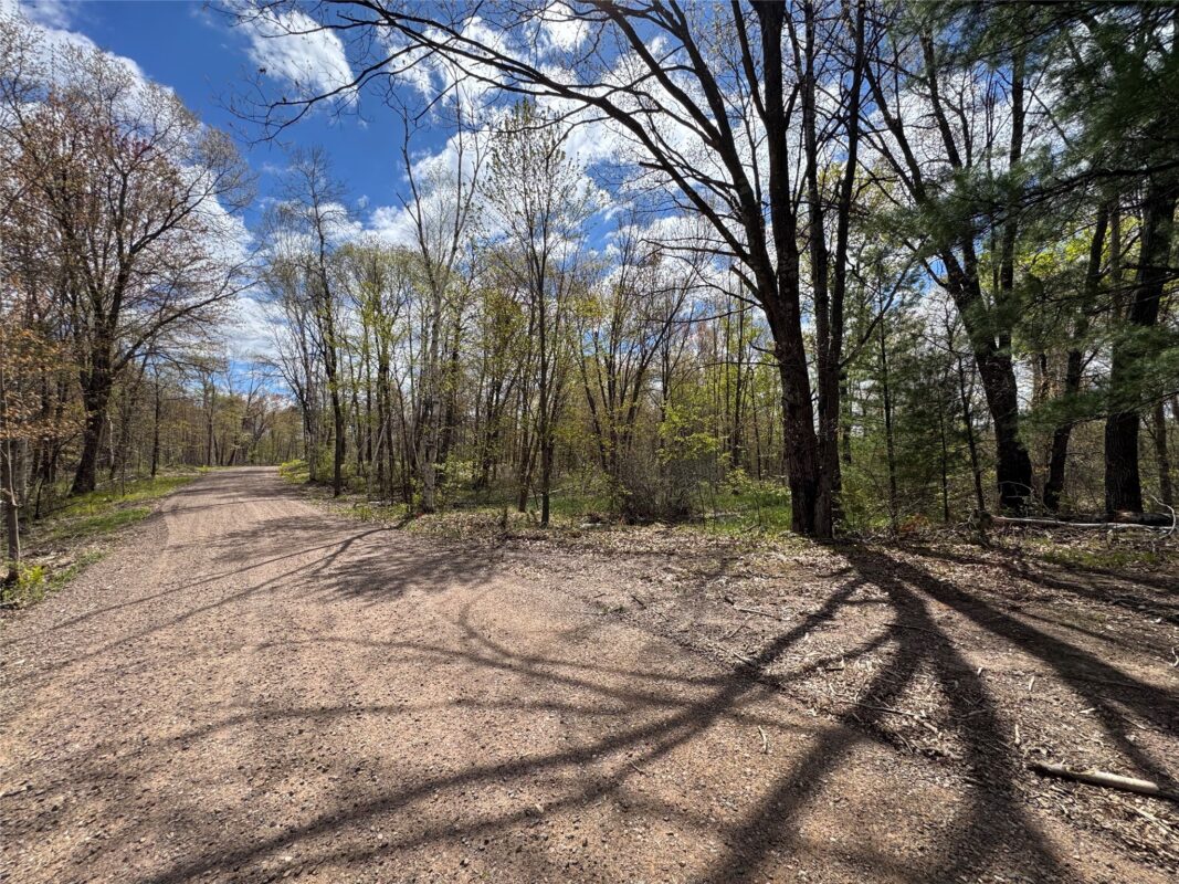 000 Ramer Road, Bruce WI 54819 - Land house for sale - MLS #1601306 - image4