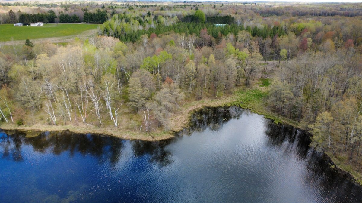 000 Ramer Road, Bruce WI 54819 - Land house for sale - MLS #1601306 - image6