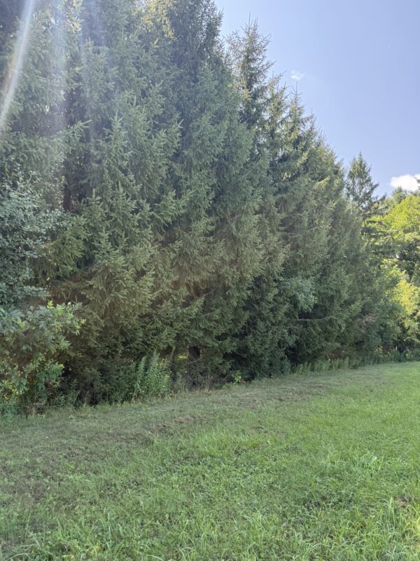 1100 11th Avenue, Cumberland WI 54829 - Land house for sale - MLS #1603873 - image11