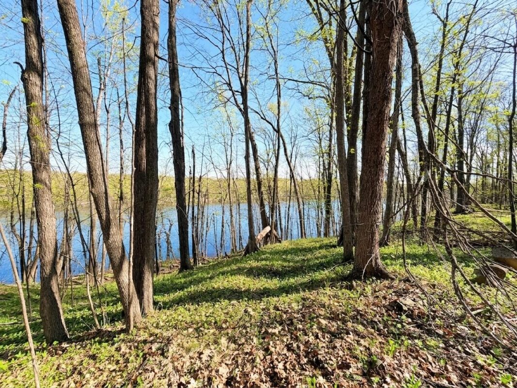 1101 5th Street, Ladysmith WI 54848 - Land house for sale - MLS #1598875 - image2