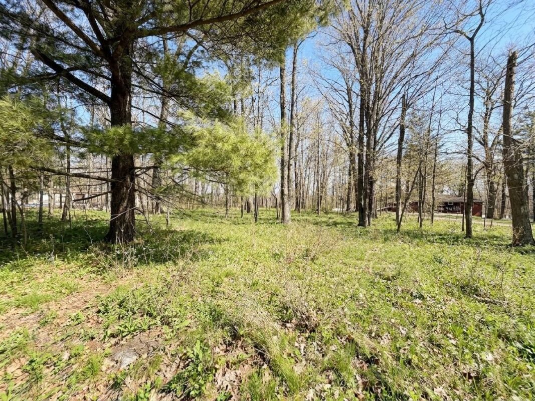 1101 5th Street, Ladysmith WI 54848 - Land house for sale - MLS #1598875 - image4