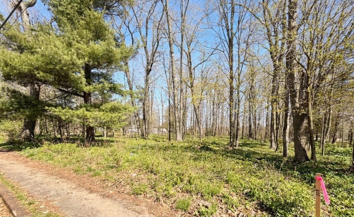 1101 5th Street, Ladysmith WI 54848 - Land house for sale - MLS #1598875 - image5