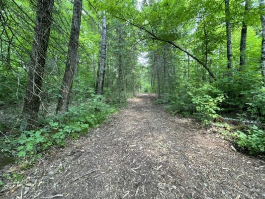 11715N FR 174  Hayward WI 54843