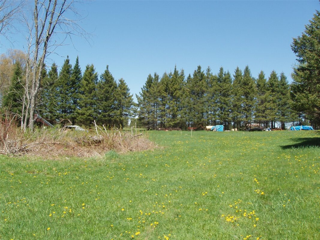 120 +/- Acres Off County Highway N, Glidden WI 54527 - Land house for sale - MLS #1601094 - image2
