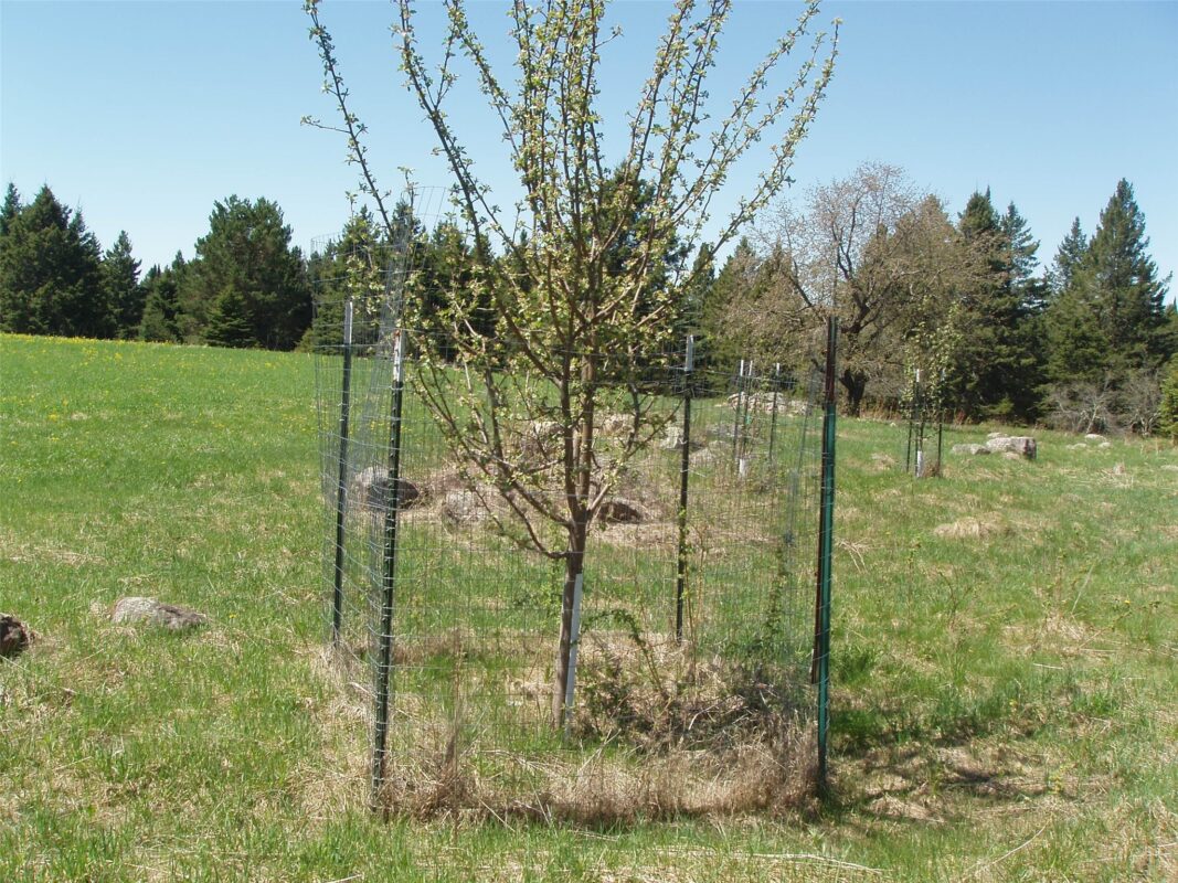 120 +/- Acres Off County Highway N, Glidden WI 54527 - Land house for sale - MLS #1601094 - image11