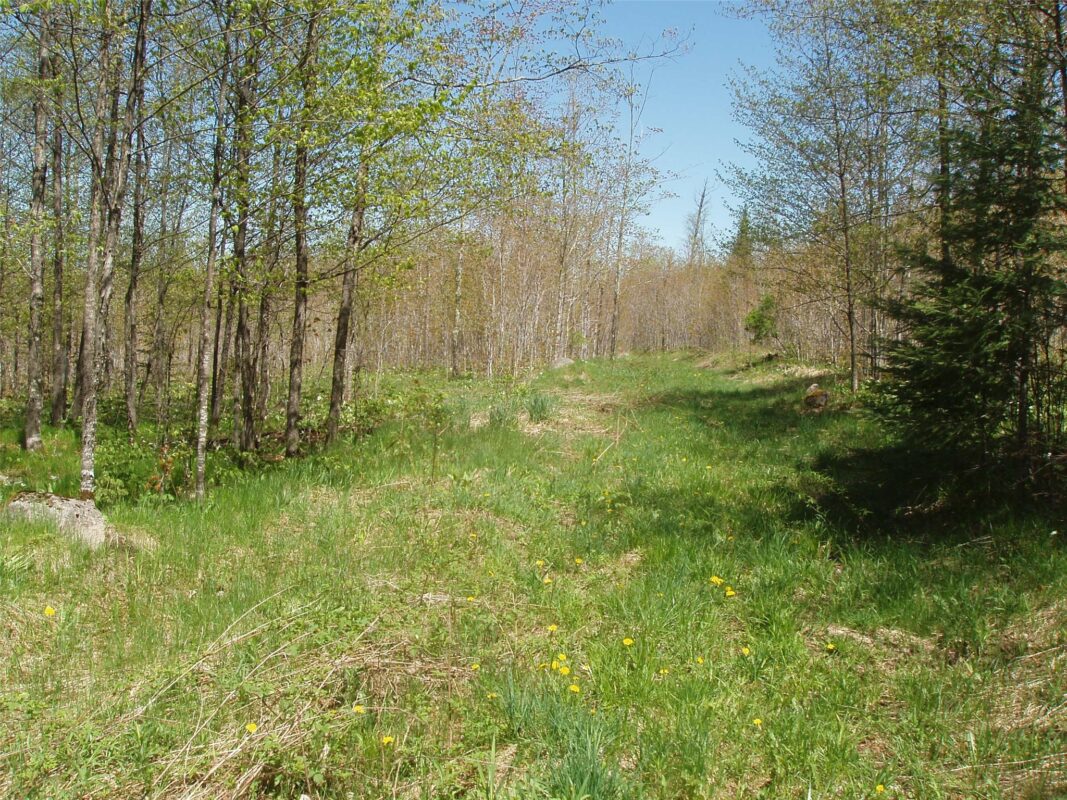 120 +/- Acres Off County Highway N, Glidden WI 54527 - Land house for sale - MLS #1601094 - image12