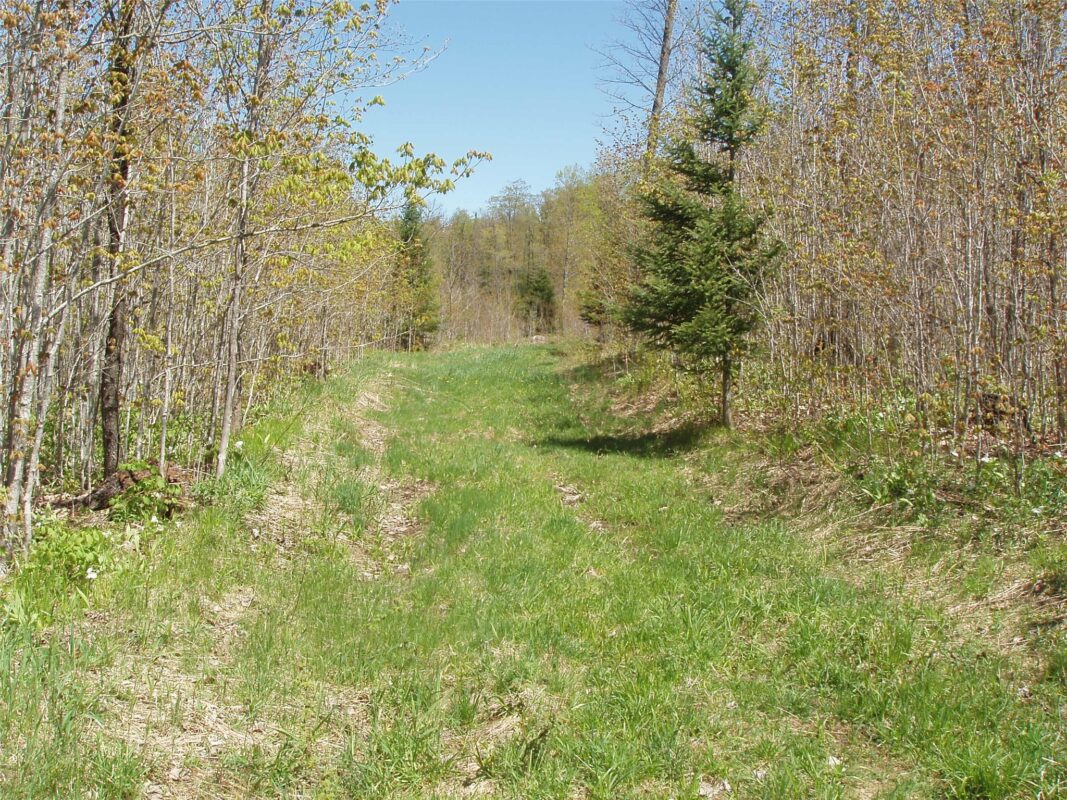 120 +/- Acres Off County Highway N, Glidden WI 54527 - Land house for sale - MLS #1601094 - image15