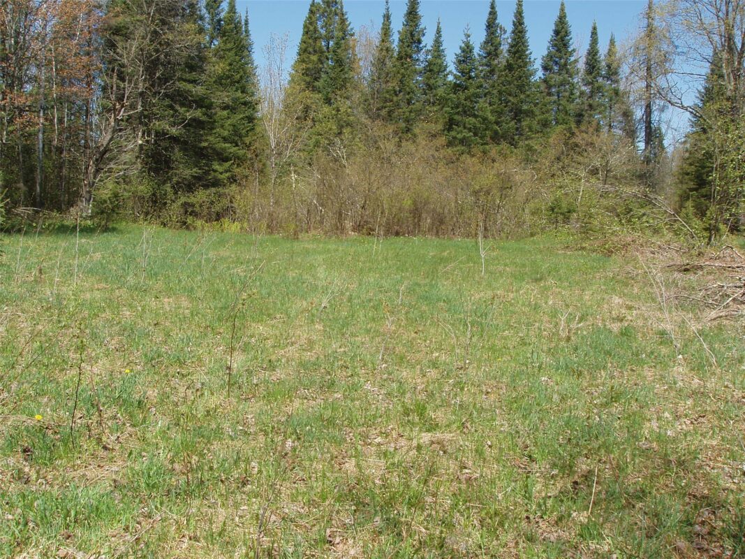 120 +/- Acres Off County Highway N, Glidden WI 54527 - Land house for sale - MLS #1601094 - image17