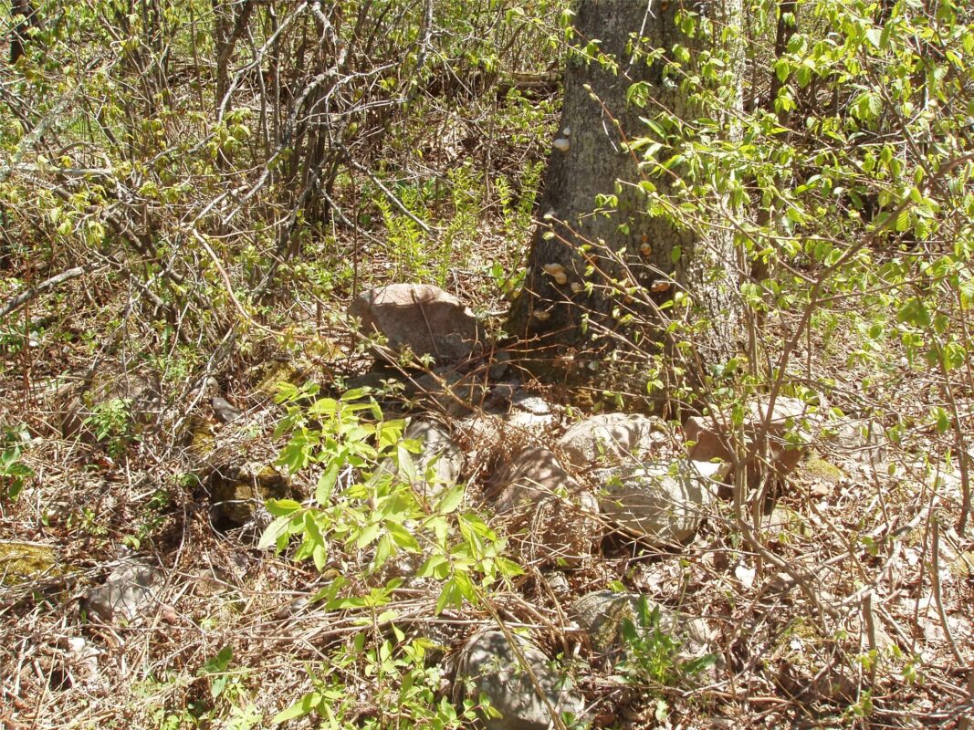 120 +/- Acres Off County Highway N, Glidden WI 54527 - Land house for sale - MLS #1601094 - image18