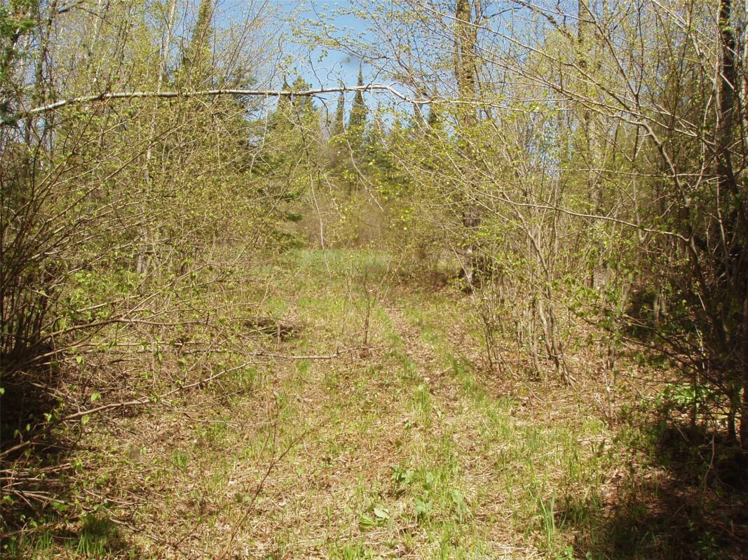 120 +/- Acres Off County Highway N, Glidden WI 54527 - Land house for sale - MLS #1601094 - image19